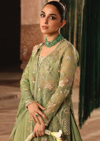 Crimson Jhilmil Wedding'26 D-05 Matwali