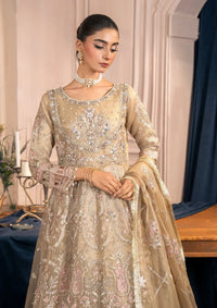 Diara Couture Tabeer'25 ZAINA - POMT-01-08