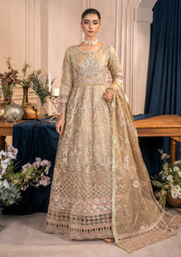 Diara Couture Tabeer'25 ZAINA - POMT-01-08