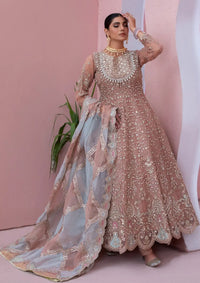 Diara Couture Tabeer'25 SHAHBANU - DF-13
