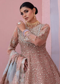 Diara Couture Tabeer'25 SHAHBANU - DF-13