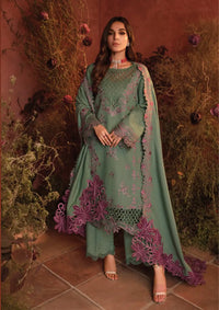 Rang Rasiya Premium Winter Edit'24 D-12 Mint