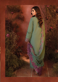 Rang Rasiya Premium Winter Edit'24 D-12 Mint