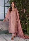 Rang Rasiya Premium Winter Edit'24 D-11 Chai