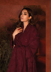 Rang Rasiya Premium Winter Edit'24 D-13 Rose