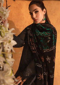 Rang Rasiya Premium Winter Edit'24 D-03 Espresso