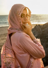 Tawakkal Ek Sunahri Dopahar'26 D-2633