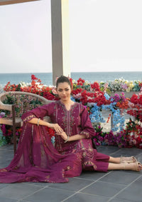 Tawakkal Ek Sunahri Dopahar'26 D-2637