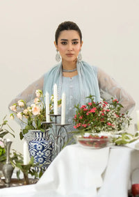 Lavish Aaraish Luxury Festive'24 D-05 Ice Blue