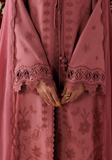 Qalamkar Qline Linen'26 QLW-13 DANIYA