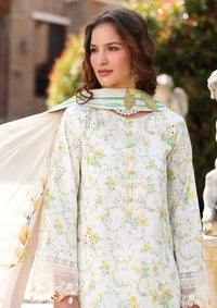 Raaya Printkaari Summer’26 -Olivienne