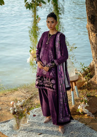 Saira Rizwan Winter'24 SRW-02 RUNI