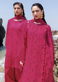 Afsanah Lost In Waves'26 A-207