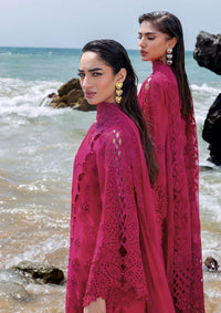 Afsanah Lost In Waves'26 A-207