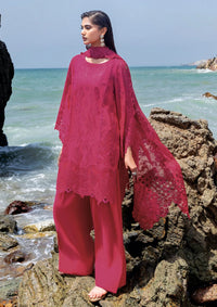 Afsanah Lost In Waves'26 A-207