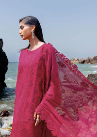 Afsanah Lost In Waves'26 A-207