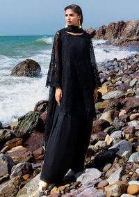 Afsanah Lost In Waves'26 A-205