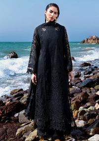 Afsanah Lost In Waves'26 A-205