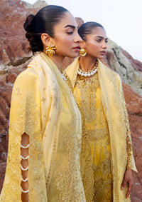 Afsanah Lost In Waves'26 A-208