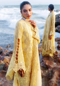 Afsanah Lost In Waves'26 A-208