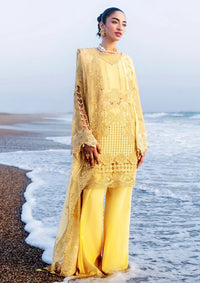 Afsanah Lost In Waves'26 A-208