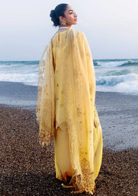 Afsanah Lost In Waves'26 A-208