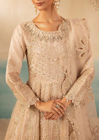 Diara Couture Tehzeeb'25 ROSY EMBRACE - DF-35 - LIGHT PINK