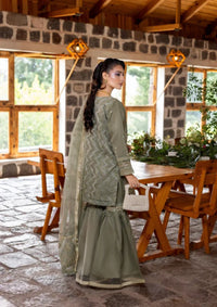 Diara Couture Kumari'25 D-01 SHAHNOOR MINT