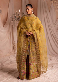 Diara Couture Suave'25 RAISA - DF-42 - OLIVE