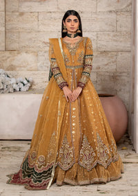 Diara Couture Abrish'25 ANARKALI - US-607