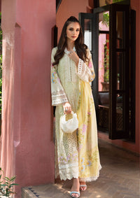 Saira Rizwan Lawn Vol-02'24 SR-05 Kate - Mohsin Saeed Fabrics