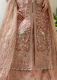 mohsin-saeed-fabrics-luxury-fashion-collection-daily-wear-wedding-and-formal-in-budget-This-product-is-from-mushq-hemline-inception-wedding25-d-101-is-available-on-Mohsin-saeed-fabrics-website.