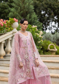 mohsin-saeed-fabrics-luxury-fashion-collection-daily-wear-wedding-and-formal-in-budget-This-product-is-from-mushq-hemline-inception-wedding25-d-105-is-available-on-Mohsin-saeed-fabrics-website.