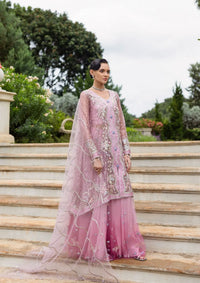 mohsin-saeed-fabrics-luxury-fashion-collection-daily-wear-wedding-and-formal-in-budget-This-product-is-from-mushq-hemline-inception-wedding25-d-105-is-available-on-Mohsin-saeed-fabrics-website.