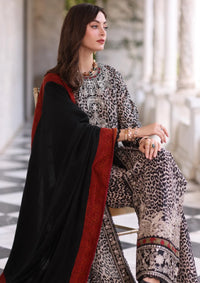 Noor By Saadia Asad Pashmina Shawl'25 D-01 Noir Safari