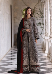 Noor By Saadia Asad Pashmina Shawl'25 D-01 Noir Safari