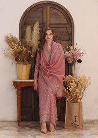 Noor By Saadia Asad Pashmina Shawl'25 D-03 Aveline