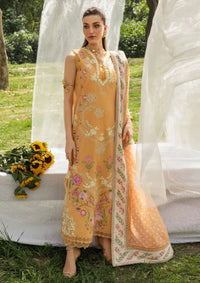 Saira Shakira Bloom Lawn'26 D-2A  LILY