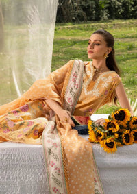Saira Shakira Bloom Lawn'26 D-2A  LILY