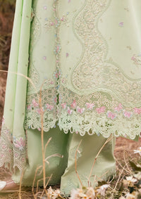 mohsin-saeed-fabrics-luxury-fashion-collection-daily-wear-wedding-and-formal-in-budget-This-product-is-from-qalamkar-qlinekari-lawn25-dc-14-meline-is-available-on-Mohsin-saeed-fabrics-website.