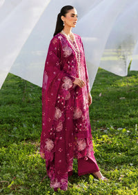 mohsin-saeed-fabrics-is-selling-online-and-in stores-Luxury-daily-wear-wedding-wear-formal-wear-in-budgeted-price-This-product-is-from-ramsha-riwayat-luxury-lawn25-vol-13-y-1301-is-available-on-Mohsin-saeed-fabrics-website.