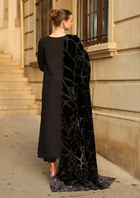 Rang Rasiya Carnation Winter Edition'25 D-06 Cortado