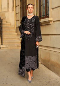 Rang Rasiya Carnation Winter Edition'25 D-06 Cortado