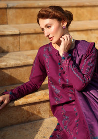 Rang Rasiya Carnation Winter Edition'25 D-13 Frappe