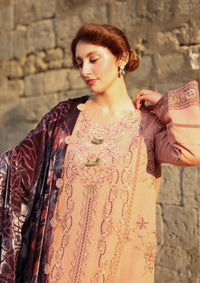 Rang Rasiya Carnation Winter Edition'25 D-10 Chai