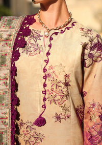 Rang Rasiya Carnation Winter Edition'25 D-10 Chai