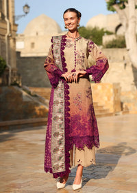 Rang Rasiya Carnation Winter Edition'25 D-10 Chai