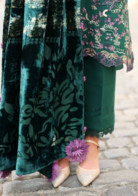 Rang Rasiya Carnation Winter Edition'25 D-04 Matcha