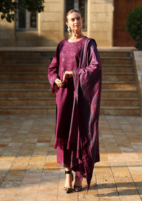 Rang Rasiya Carnation Winter Edition'25 D-11 Espresso