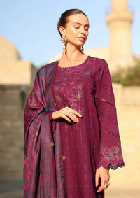 Rang Rasiya Carnation Winter Edition'25 D-11 Espresso